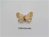 藏品(尺蛾62.1)的圖片